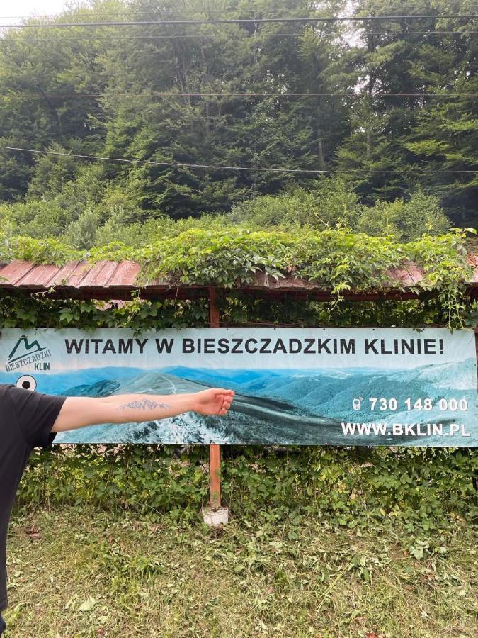 Вилла Bieszczadzki Klin Bklin Цисна Экстерьер фото